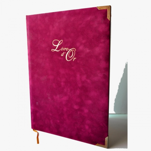 LIVRE D OR LUXE 2