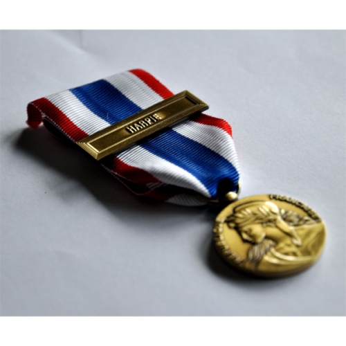 MEDAILLE DE LA PROTECTION MILITAIRE DU TERRITOIRE HARPIE 2