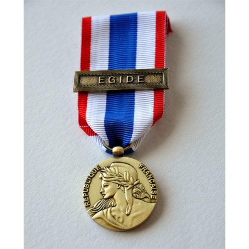 MEDAILLE DE LA PROTECTION MILITAIRE DU TERRITOIRE TOUTES AGRAFES 2